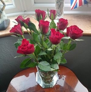 Meet your Posher, Sam